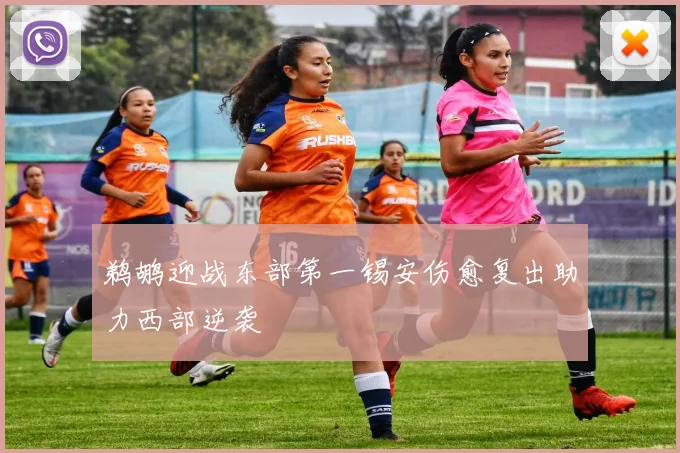 鹈鹕迎战东部第一锡安伤愈复出助力西部逆袭